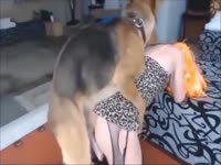 Lady getting her pussy licked and banged by dog xxx